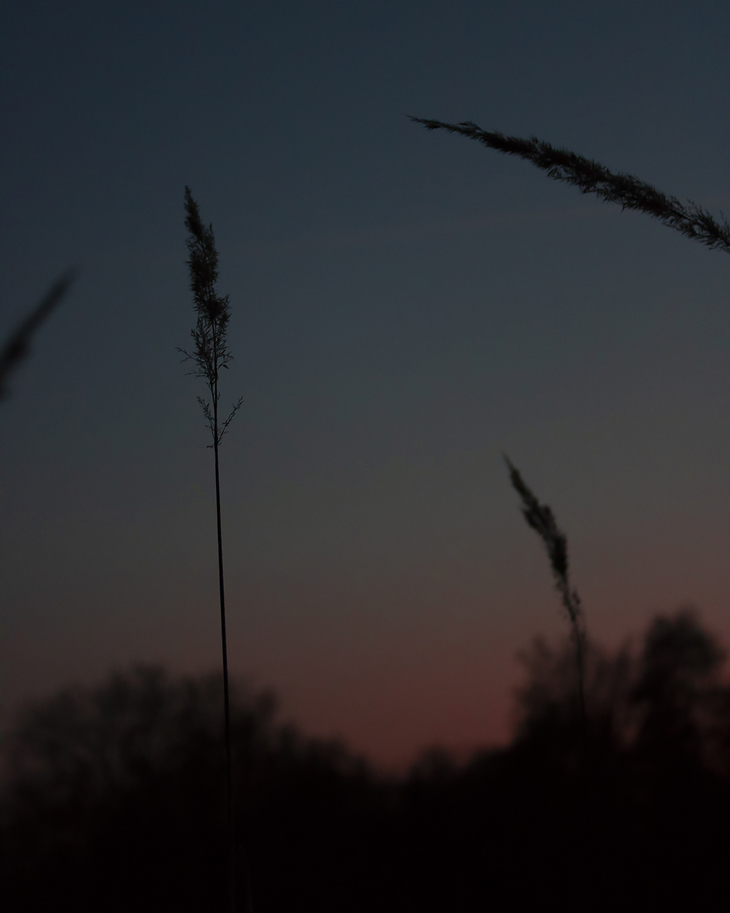 Image-normal