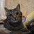 Image-square_50