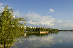 Image-preview_300x200