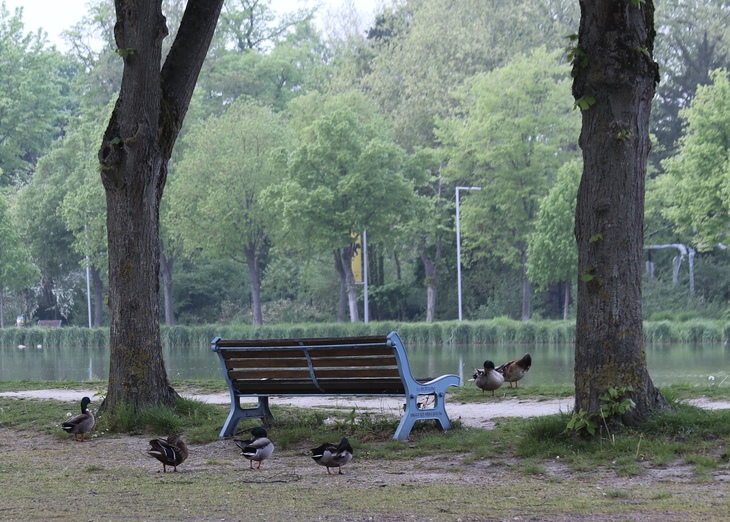 Image-normal