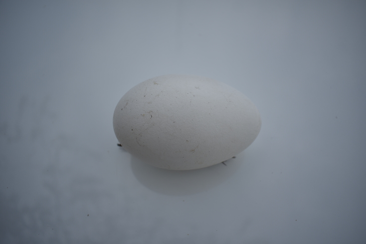 Image-normal