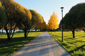 Image-preview_300x200