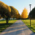 Image-square_50