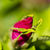 Image-square_50