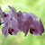 Image-square_50