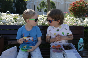 Image-preview_300x200