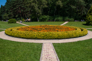 Image-preview_300x200