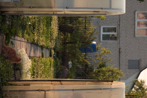 Image-preview_300x200