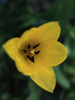 Image-preview_300x200