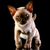 Image-square_50