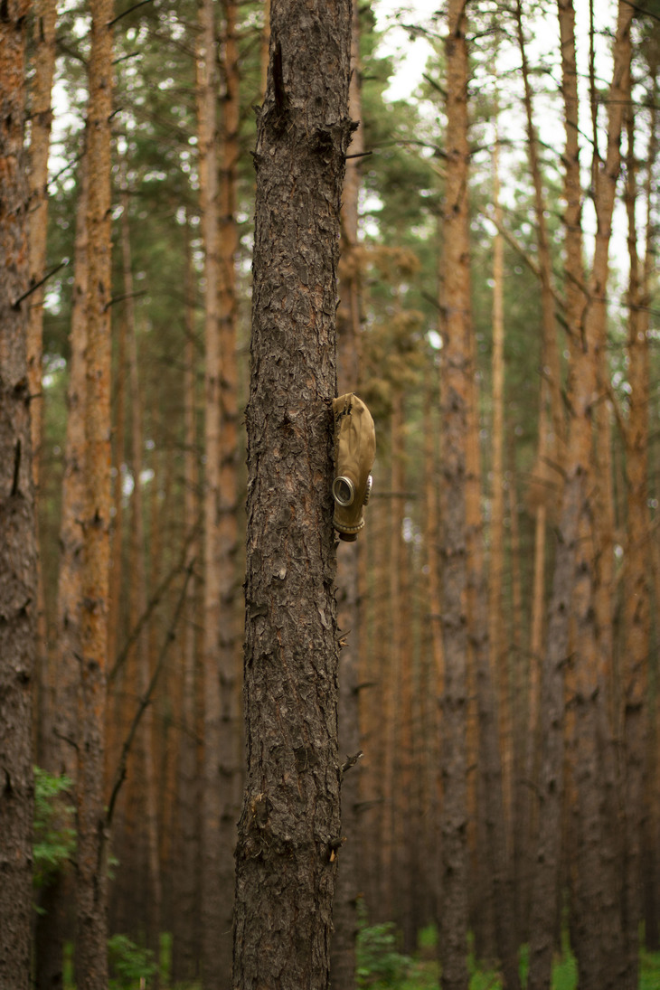 Image-normal