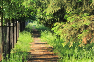 Image-preview_300x200