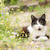 Image-square_50