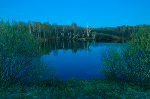 Image-preview_300x200