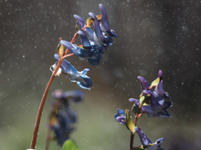 Image-rectangle_220_165