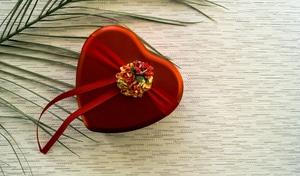 Image-preview_300x200