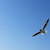 Image-square_50