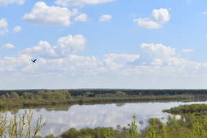 Image-preview_300x200