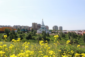 Image-preview_300x200