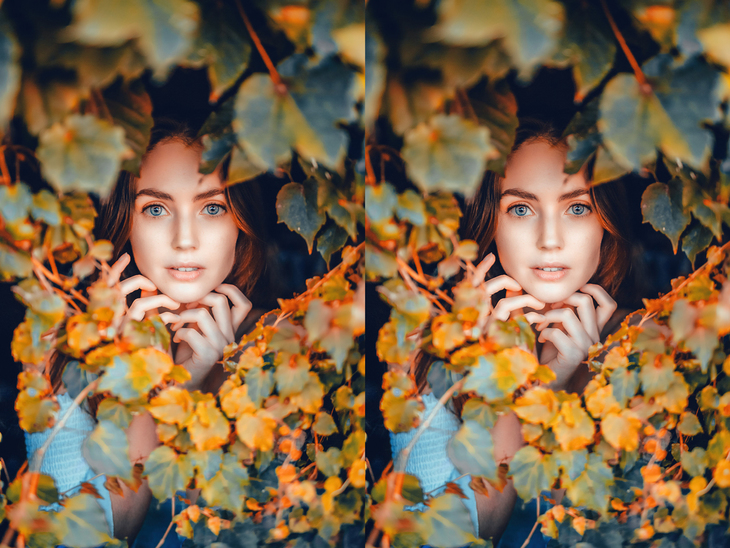 Image-normal