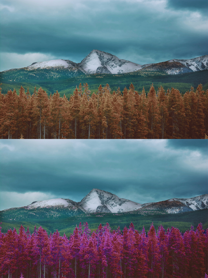 Image-normal