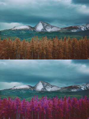Image-preview_300x200