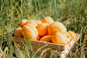 Image-preview_300x200