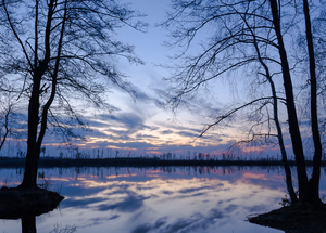 Image-preview_300x200