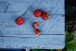 Image-preview_300x200