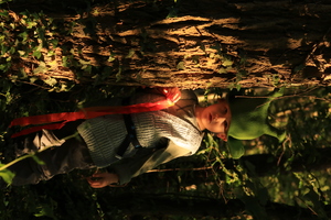 Image-preview_300x200