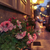 Image-square_50