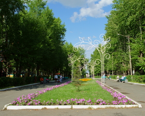 Image-preview_300x200