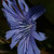 Image-square_50