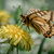 Image-square_50