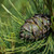 Image-square_50