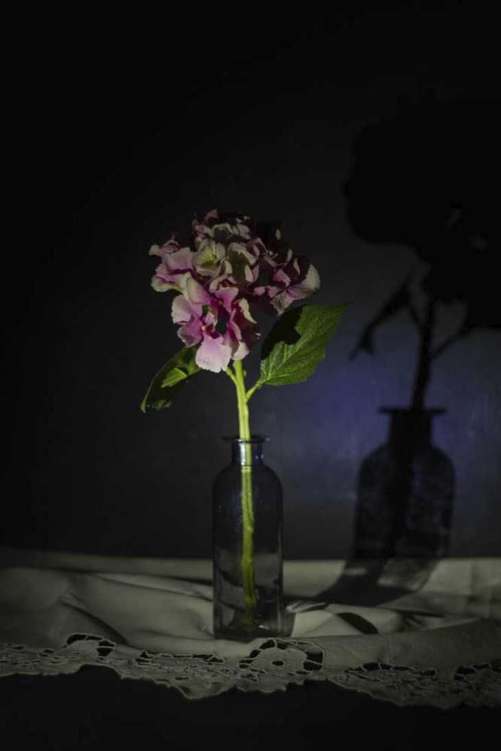 Image-normal