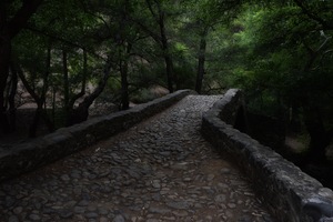 Image-preview_300x200