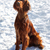 Image-square_50