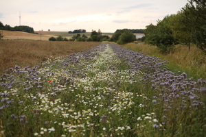 Image-preview_300x200