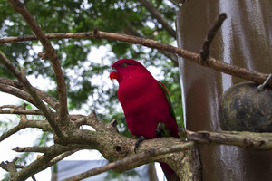 Image-preview_300x200