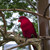 Image-square_50