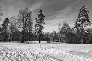 Image-preview_300x200