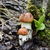 Image-square_50