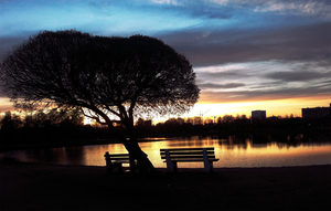 Image-preview_300x200