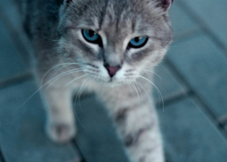 Image-normal