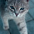 Image-square_50