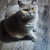 Image-square_50