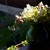 Image-square_50