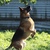 Image-square_50