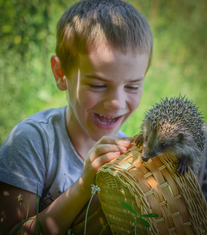 Image-preview_300x200